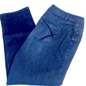 Lane Bryant Blue Denim Jeans size 16P